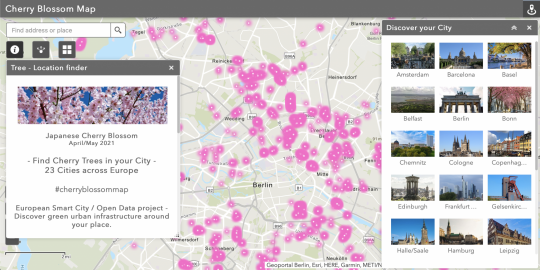 Screenshot der Kartenanwendung „Cherry Blossom Map“. Zu sehen sind die Standorte von japanischen Kirschbäumen in Berlin, sowie eine Liste anderer Städte.