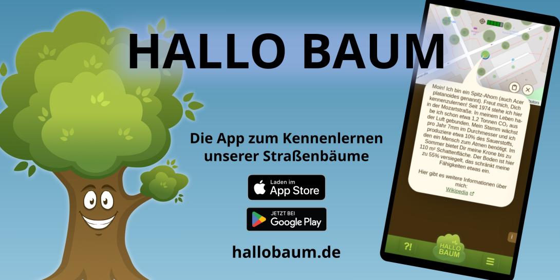 Illustration zur App „Hallo Baum“, die links einen lachenden Comic-Baum zeigt, rechts ein Handy mit Screenshot der App. In der Mitte steht „Hallo Baum – Die App zum Kennenlernen unserer Straßenbaäume“ und Verweise auf den Apple App Store und den Google Play Store.